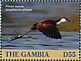 African Jacana Actophilornis africanus  2019 African Jacana Sheet