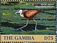 African Jacana Actophilornis africanus  2019 African Jacana Sheet