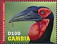 Southern Ground Hornbill Bucorvus leadbeateri  2020 Southern Ground Hornbill Sheet