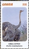 Somali Ostrich Struthio molybdophanes  2020 Somali Ostrich Sheet