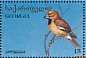 Hawfinch Coccothraustes coccothraustes