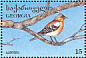 Common Chaffinch Fringilla coelebs  1996 Birds Sheet