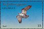 Western Osprey Pandion haliaetus  1996 Birds Sheet