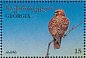 Long-legged Buzzard Buteo rufinus  1996 Birds Sheet