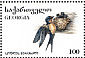 Barn Swallow Hirundo rustica  1996 Birds  MS