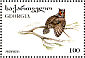 Long-eared Owl Asio otus  1996 Birds  MS MS