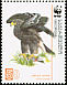 Greater Spotted Eagle Clanga clanga  2007 WWF 