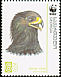 Greater Spotted Eagle Clanga clanga