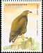 Tawny Eagle Aquila rapax  2007 Eagles 