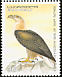 White-tailed Eagle Haliaeetus albicilla  2007 Eagles 