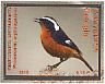 Moussier's Redstart Phoenicurus moussieri  2016 Fauna 3v set, sa