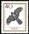 Northern Goshawk Accipiter gentilis  1965 Birds of prey 