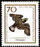 Golden Eagle Aquila chrysaetos  1965 Birds of prey 