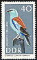 European Roller Coracias garrulus  1967 Protected birds 