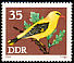 Eurasian Golden Oriole Oriolus oriolus  1973 Songbirds 