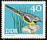 Grey Wagtail Motacilla cinerea  1973 Songbirds 