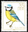 Eurasian Blue Tit Cyanistes caeruleus  1979 Songbirds 
