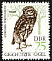 Little Owl Athene noctua  1982 Protected birds 