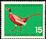 Common Pheasant Phasianus colchicus  1965 Child welfare 