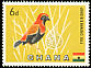 Black-winged Red Bishop Euplectes hordeaceus