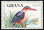 African Pygmy Kingfisher Ispidina picta