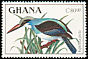 Blue-breasted Kingfisher Halcyon malimbica  1989 Birds 