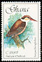 Striped Kingfisher Halcyon chelicuti  1989 Birds 