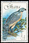 Shikra Accipiter badius  1989 Birds 