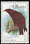 Yellow-billed Kite Milvus aegyptius  1989 Birds 