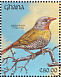 Green-winged Pytilia Pytilia melba  1991 The birds of Ghana Sheet