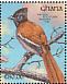 African Paradise Flycatcher Terpsiphone viridis  1991 The birds of Ghana Sheet