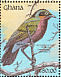 Splendid Starling Lamprotornis splendidus  1991 The birds of Ghana Sheet