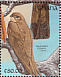 African Palm Swift Cypsiurus parvus  1991 The birds of Ghana Sheet