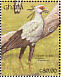 Secretarybird Sagittarius serpentarius  1991 The birds of Ghana Sheet
