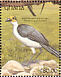 White-necked Rockfowl Picathartes gymnocephalus  1991 The birds of Ghana Sheet