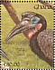 Abyssinian Ground Hornbill Bucorvus abyssinicus  1991 The birds of Ghana Sheet