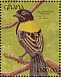 Yellow-mantled Widowbird Euplectes macroura  1991 The birds of Ghana Sheet