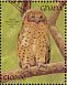 Pel's Fishing Owl Scotopelia peli  1991 The birds of Ghana Sheet