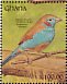 Red-cheeked Cordon-bleu Uraeginthus bengalus  1991 The birds of Ghana Sheet