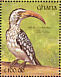 Northern Red-billed Hornbill Tockus erythrorhynchus  1991 The birds of Ghana Sheet