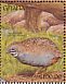 Blue Quail Synoicus adansonii  1991 The birds of Ghana Sheet