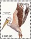Pink-backed Pelican Pelecanus rufescens  1991 The birds of Ghana Sheet