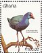 African Swamphen Porphyrio madagascariensis  1991 The birds of Ghana Sheet