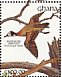 White-faced Whistling Duck Dendrocygna viduata  1991 The birds of Ghana Sheet