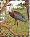 Woolly-necked Stork Ciconia episcopus  1991 The birds of Ghana Sheet