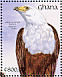 African Fish Eagle Haliaeetus vocifer  1991 The birds of Ghana  MS MS MS