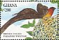 Sahel Paradise Whydah Vidua orientalis  1994 Birds of Ghana Sheet