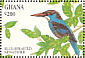 Blue-breasted Kingfisher Halcyon malimbica