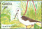 Black-winged Stilt Himantopus himantopus  1994 Birds of Ghana Sheet