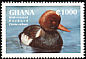 Red-crested Pochard Netta rufina  1995 Ducks of Africa 